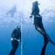 Curso de apnea de alto rendimiento de SSI - FreediveLINE.com