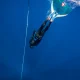 Curso de iniciación al buceo libre - FreediveLINE.com