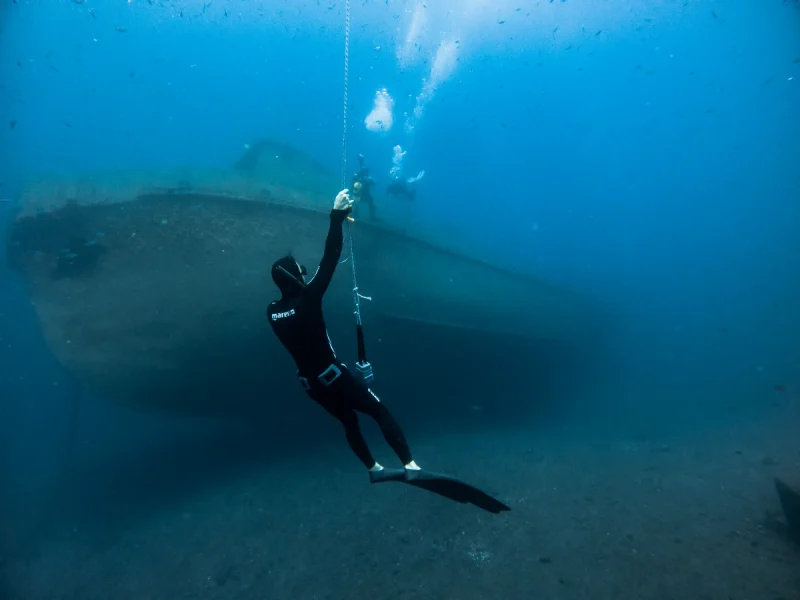 Curso de introducción al buceo libre - FreediveLINE.com