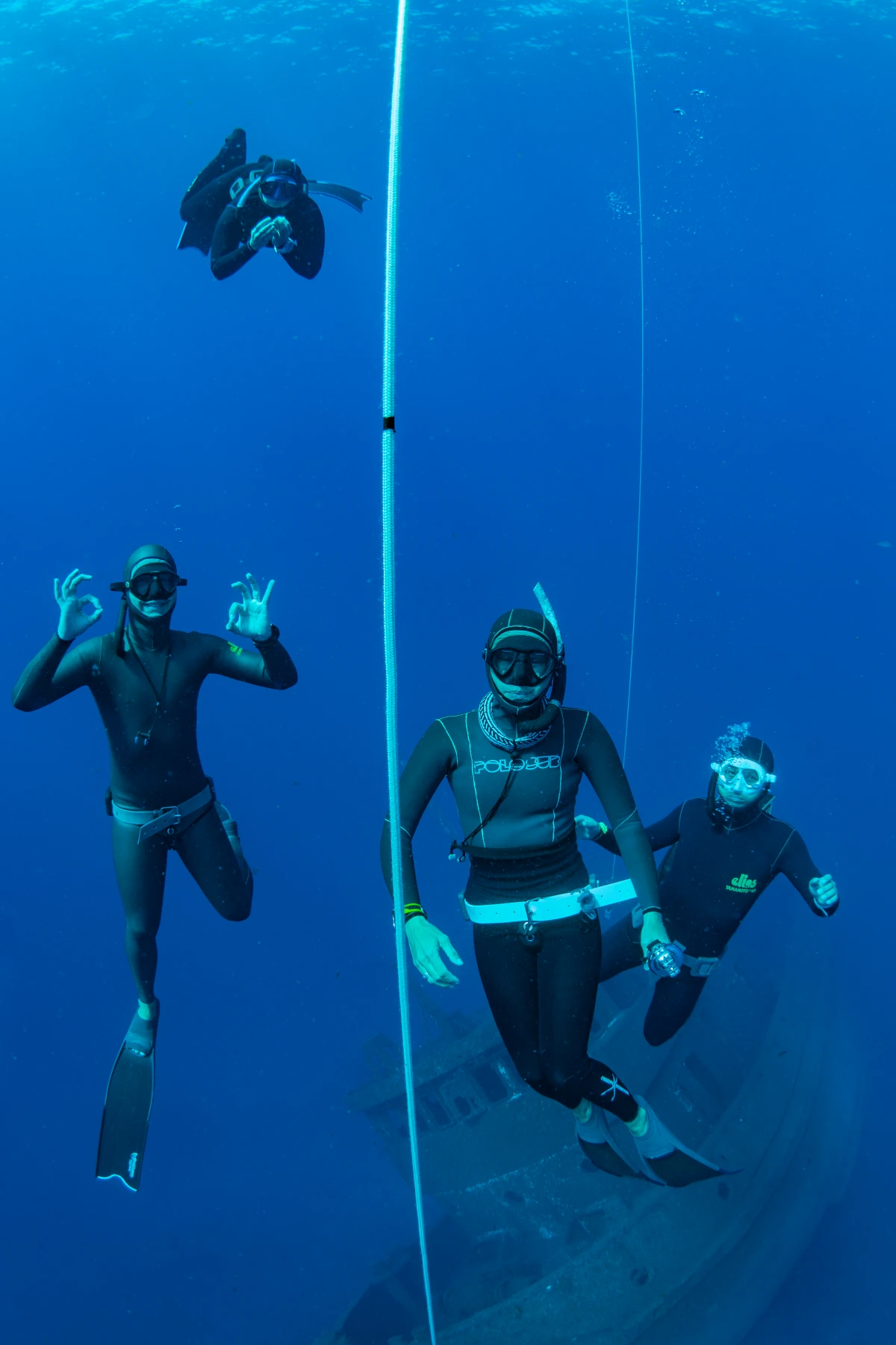 Background Contact Info