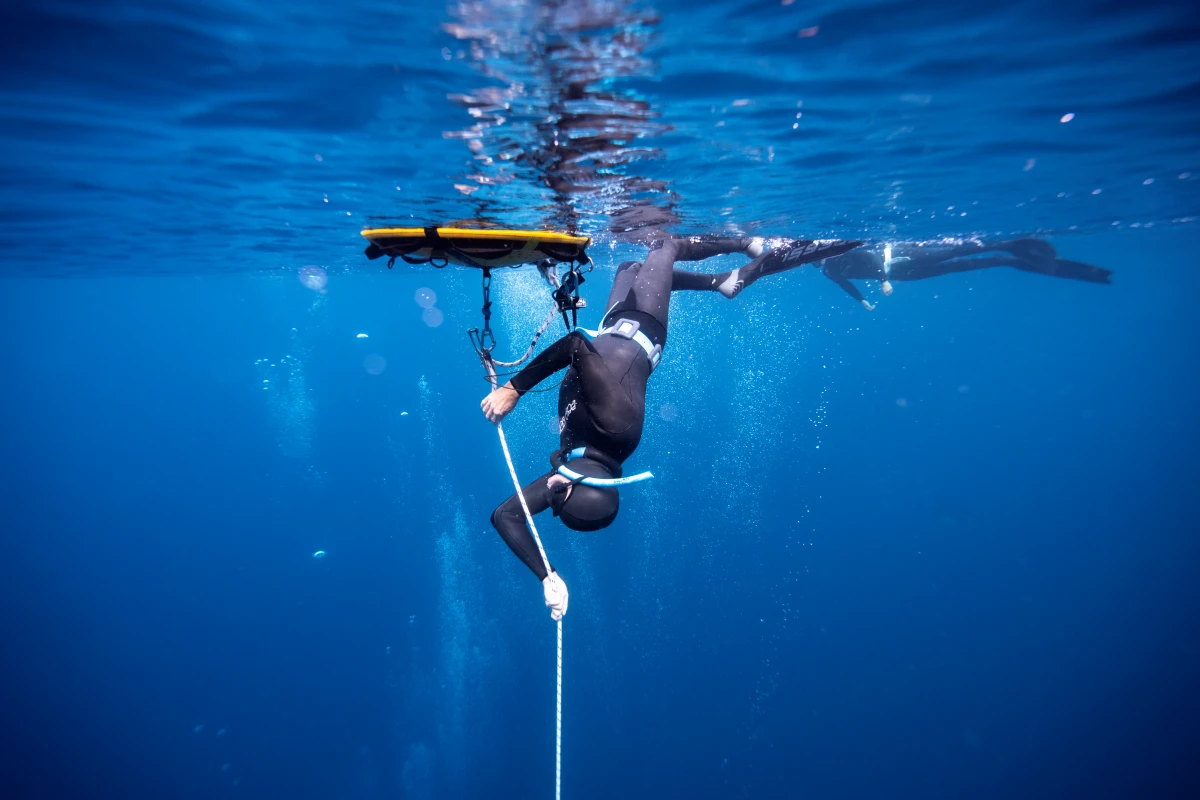 Nosotros - FreediveLINE.com