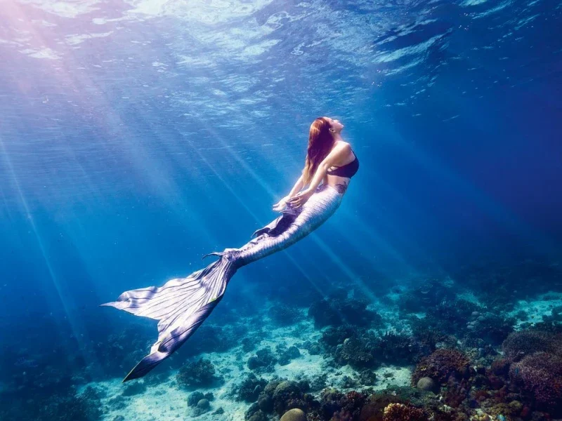 Curso de Sirena SSI - FreediveLINE.com