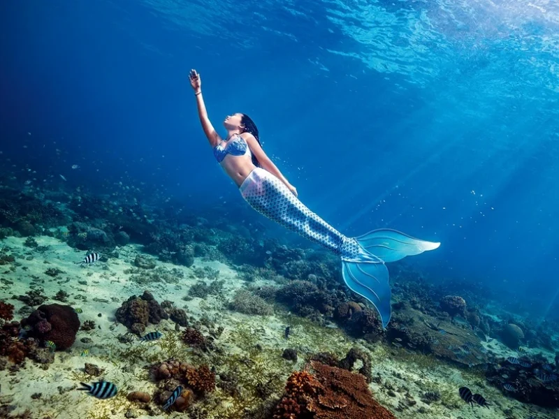 Curso Ocean Mermaid SSI - FreediveLINE.com